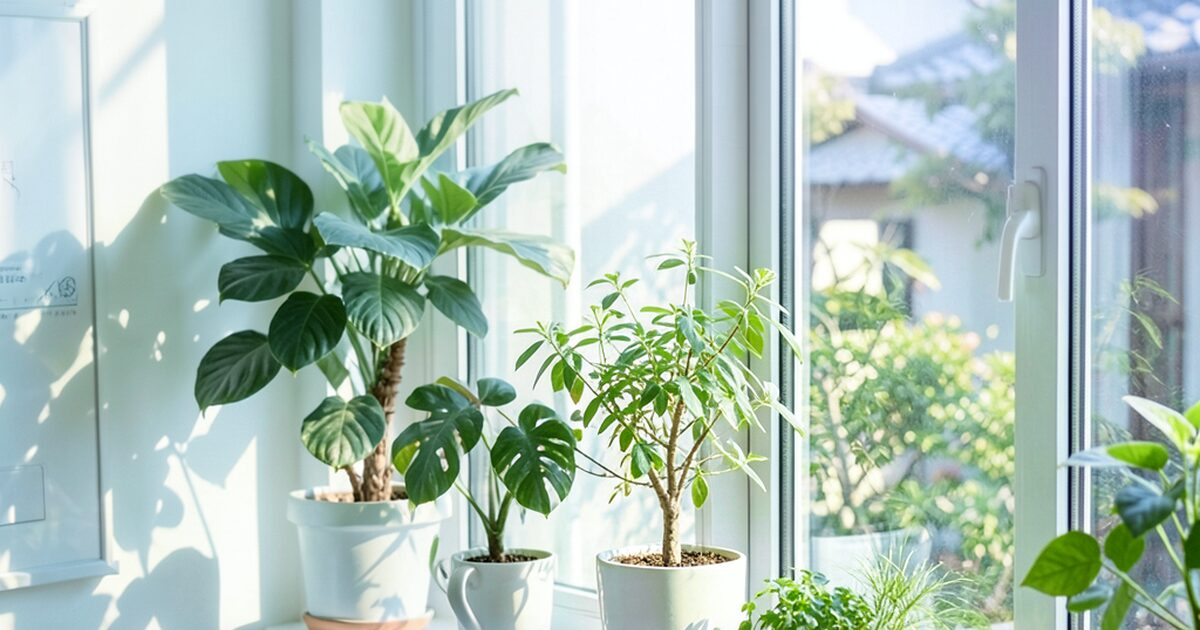 Oops(ウップス)のメリット|強みと向いている人のイメージ画像 2